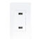 LD-U001 4.2A Smart High Speed USB Charger Outlet , 2 USB Ports with 2 Wall Plates